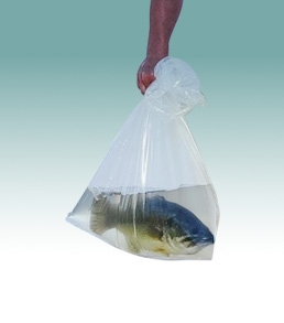 Large Plastic Bags for Food